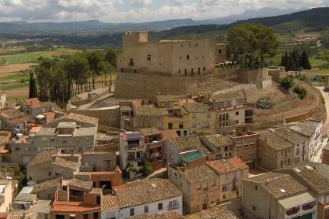 A historic castle overlooking a town with old buildings, surrounded by trees and agricultural fields, with mountains in the background.