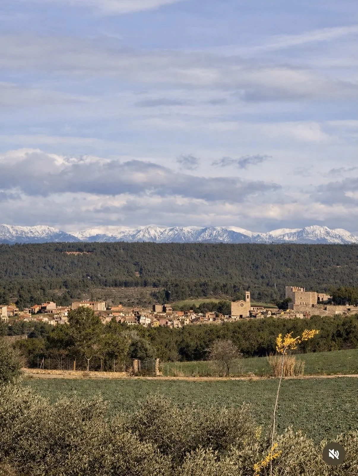 Scenic view of a European mountain village with snow-capped mountains in the background, a lush green forest, and a cloudy sky.