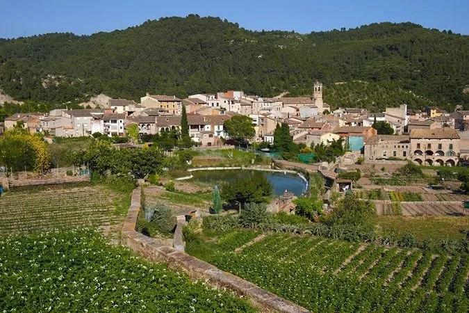 A picturesque village surrounded by vineyards and farmland, with a creek running through it and a lush green mountain in the background.