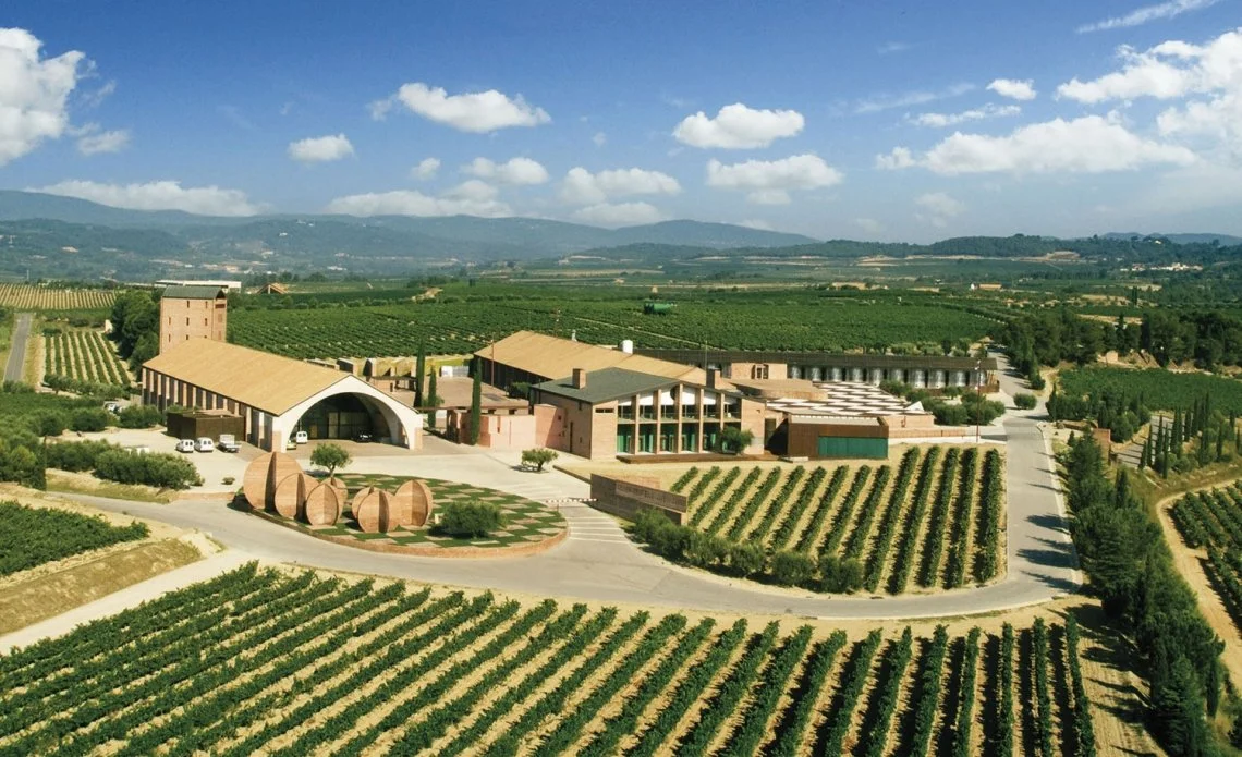 Vineyard with winery buildings, surrounded by rows of grapevines, under a bright blue sky with clouds.