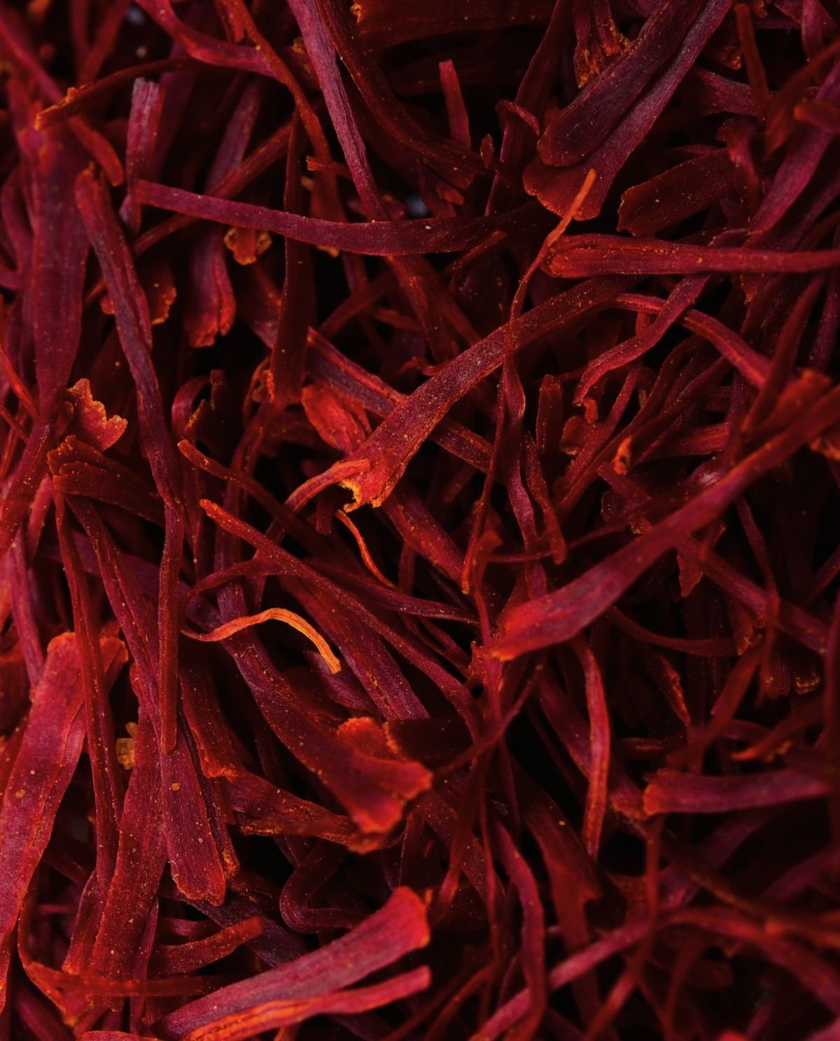 Close-up of dried red Spanish saffron strands.
