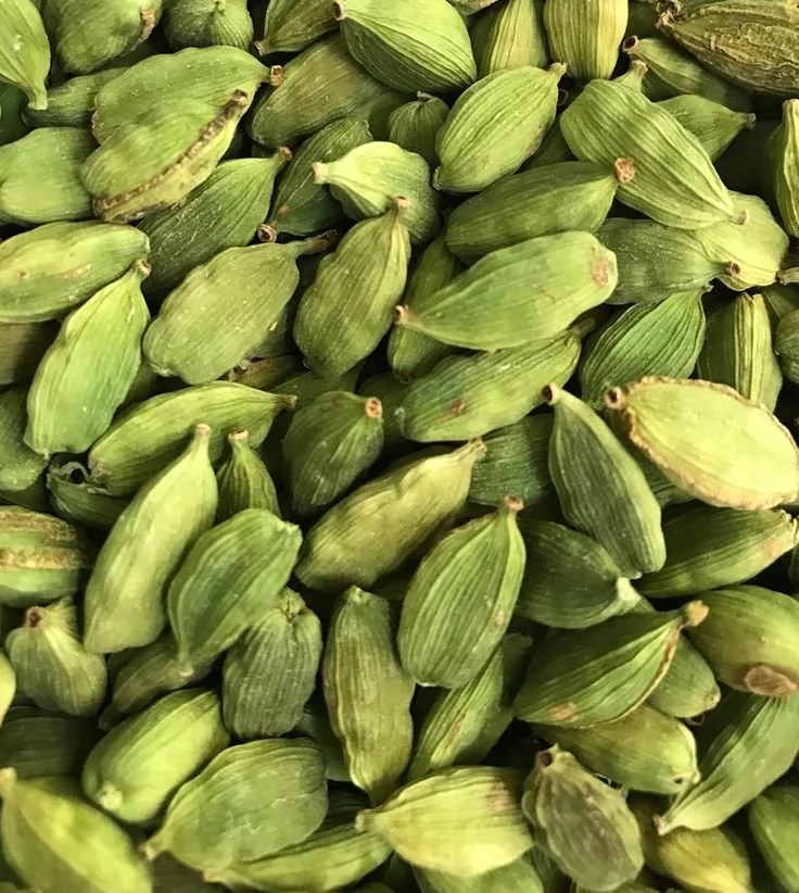 Close-up of green cardamom pods.