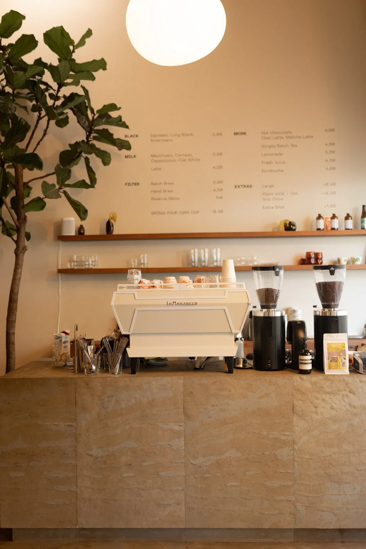 A coffee shop counter with a La Marzocco espresso machine, coffee grinders, and various supplies. A large potted plant is visible on the left, and a menu board is on the wall behind the counter.
