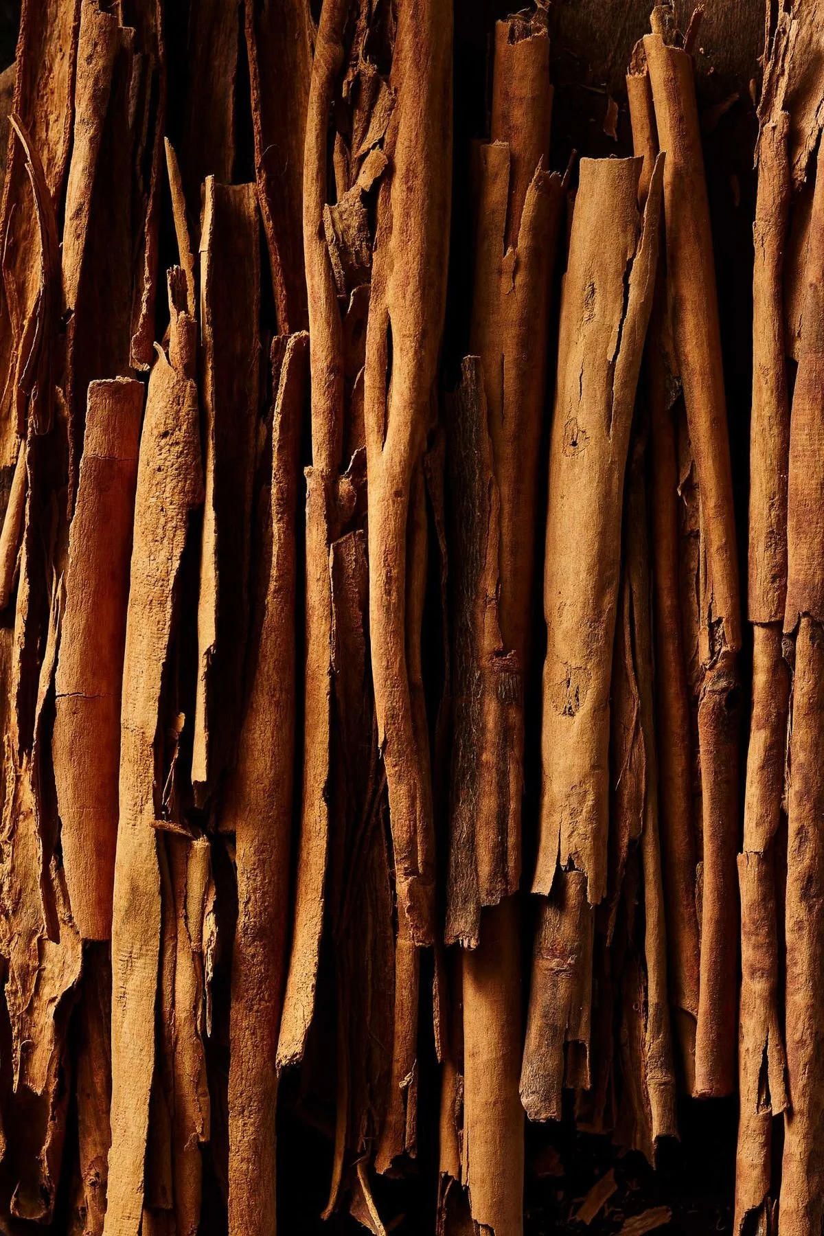 Close-up of cinnamon sticks stacked together.