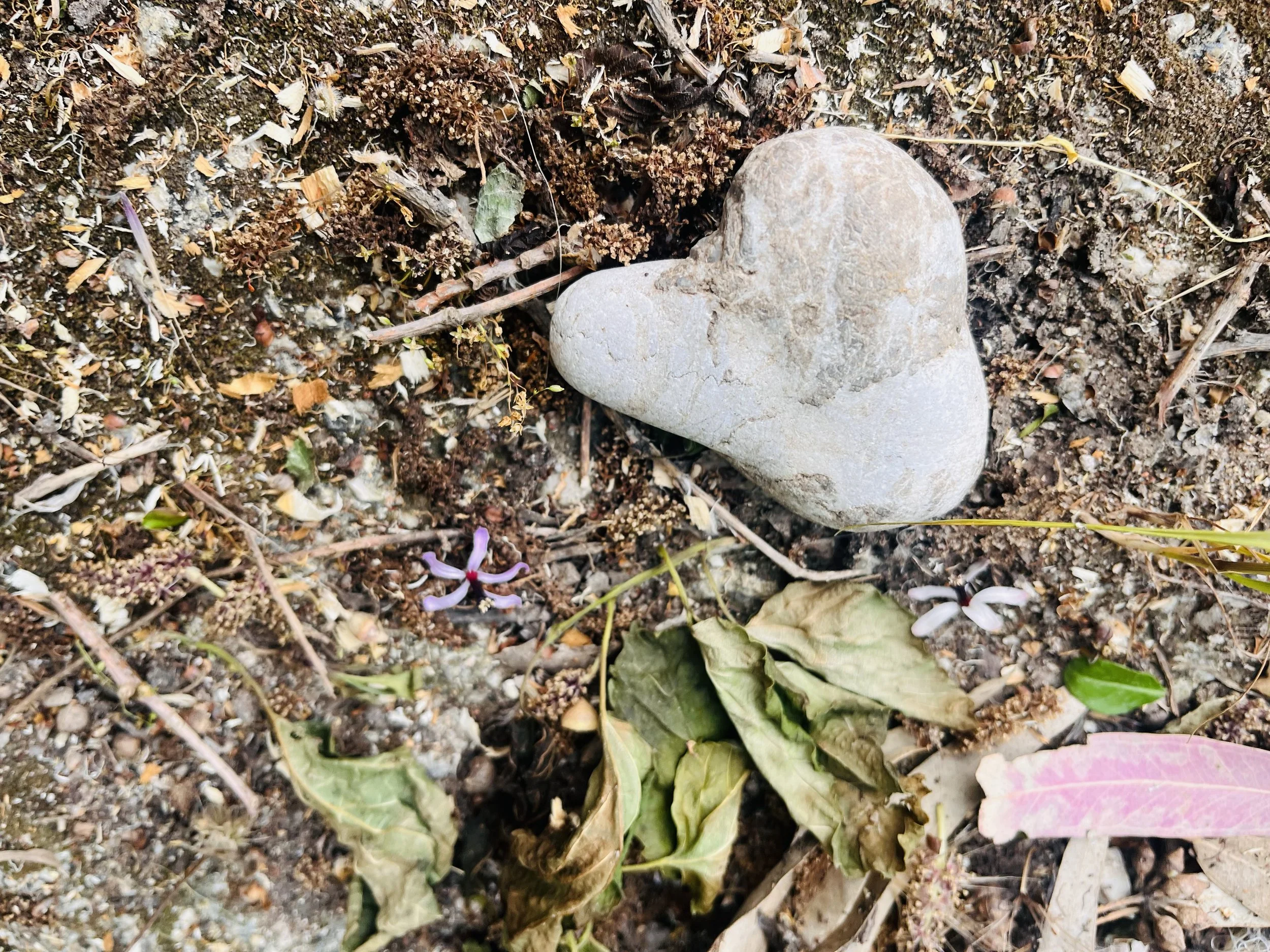 The Grey Zone - I love our life together, but I’m not ‘in love’ with you anymore. What now?&nbsp;
