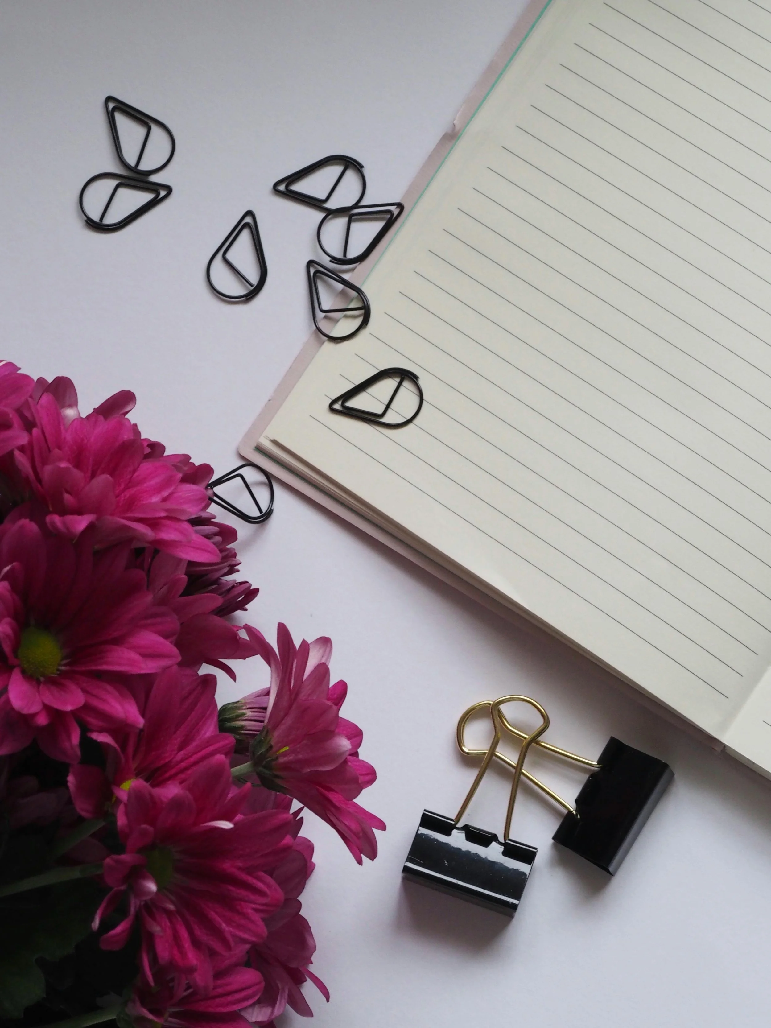 Pink flowers, black paper clips, a black clothespin, a gold paperclip, and a lined notebook on a white surface.