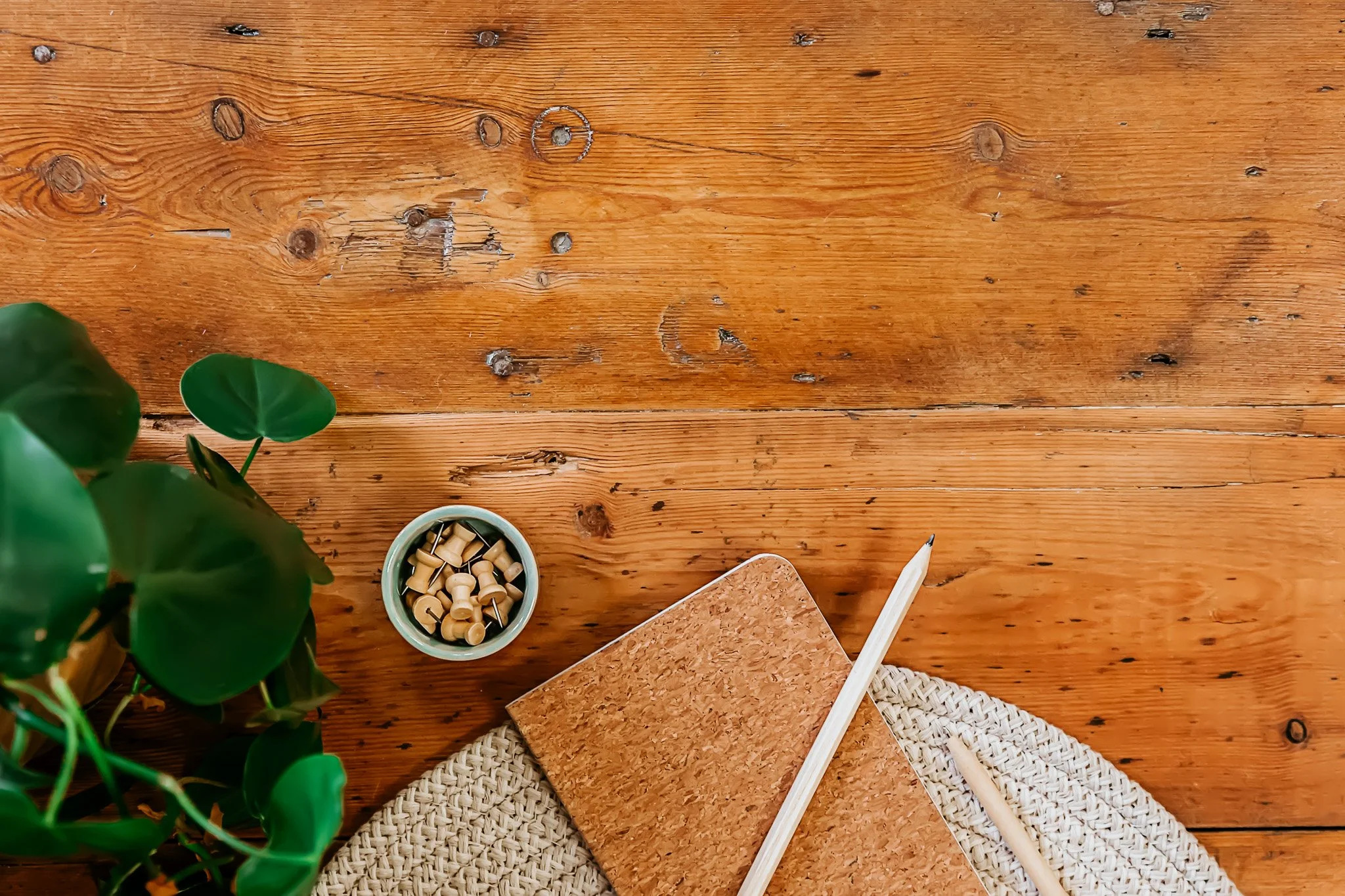 Top-down view of a wooden table with a green plant, a small bowl of wooden clothespins, a cork notebook, and a white pen and pencil, with a woven placemat.