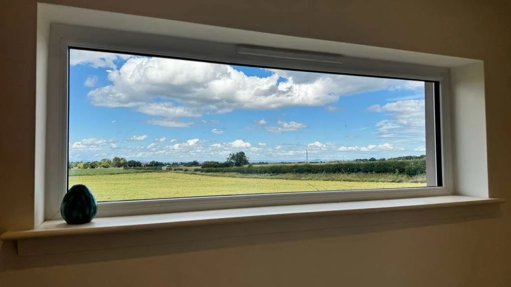 Picturewindow2.jpeg
