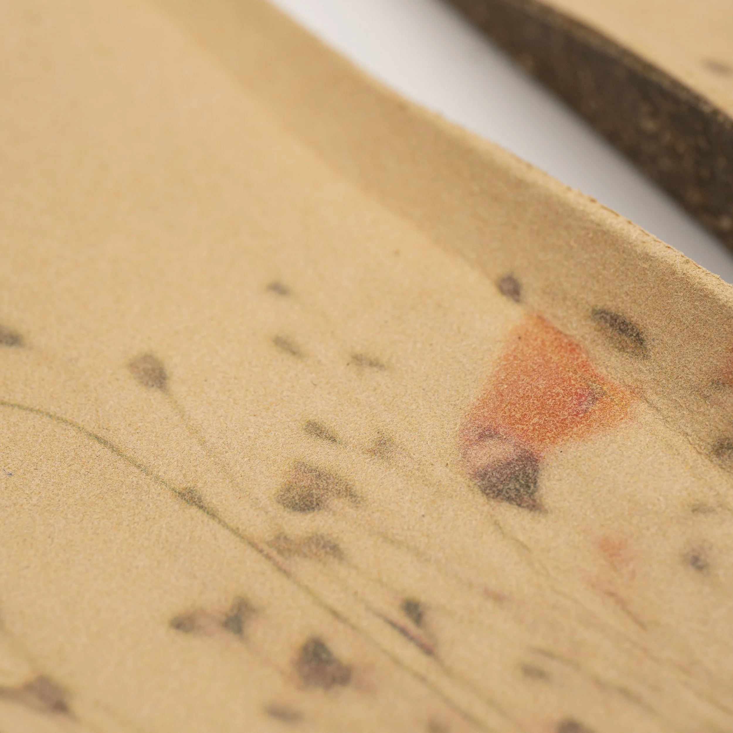Primer plano de una superficie de galleta con manchas de chispas de chocolate y bordes redondeados.
