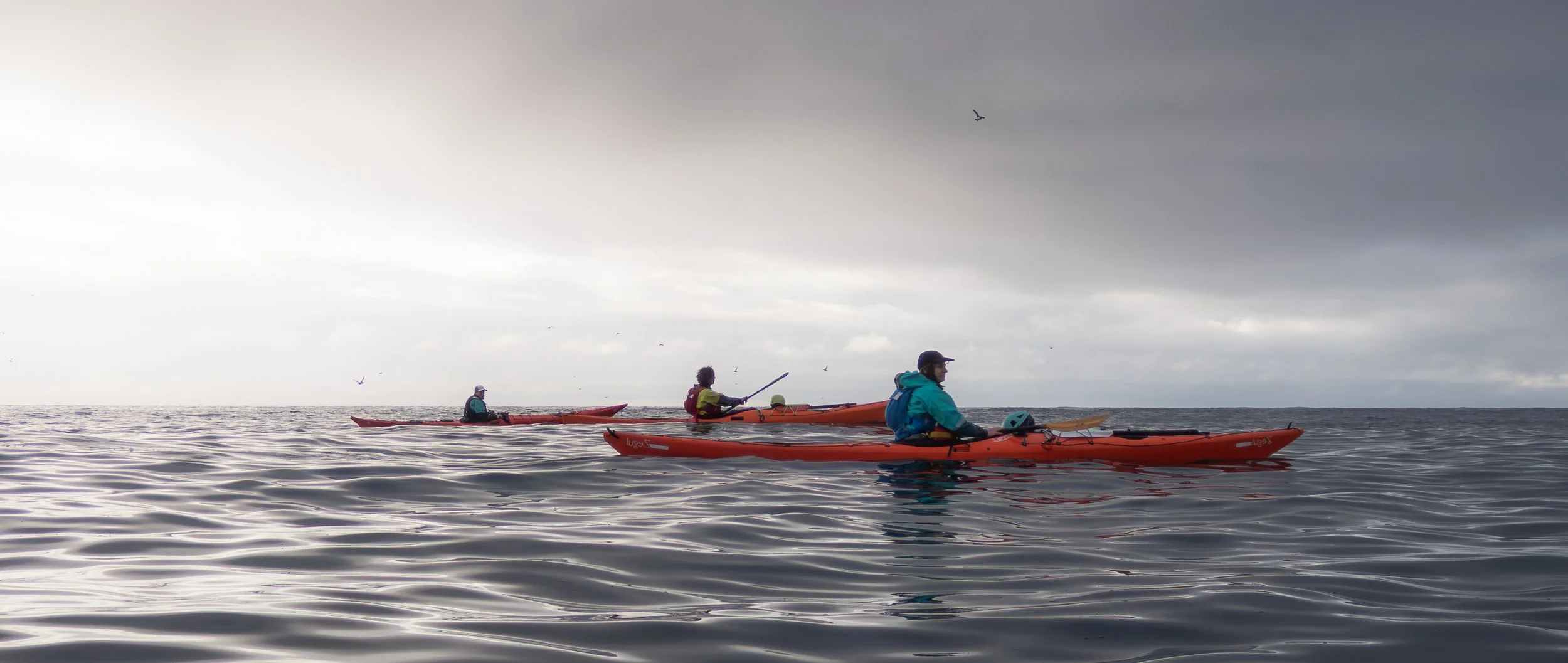 Three kayakers on calm sea with moody skies