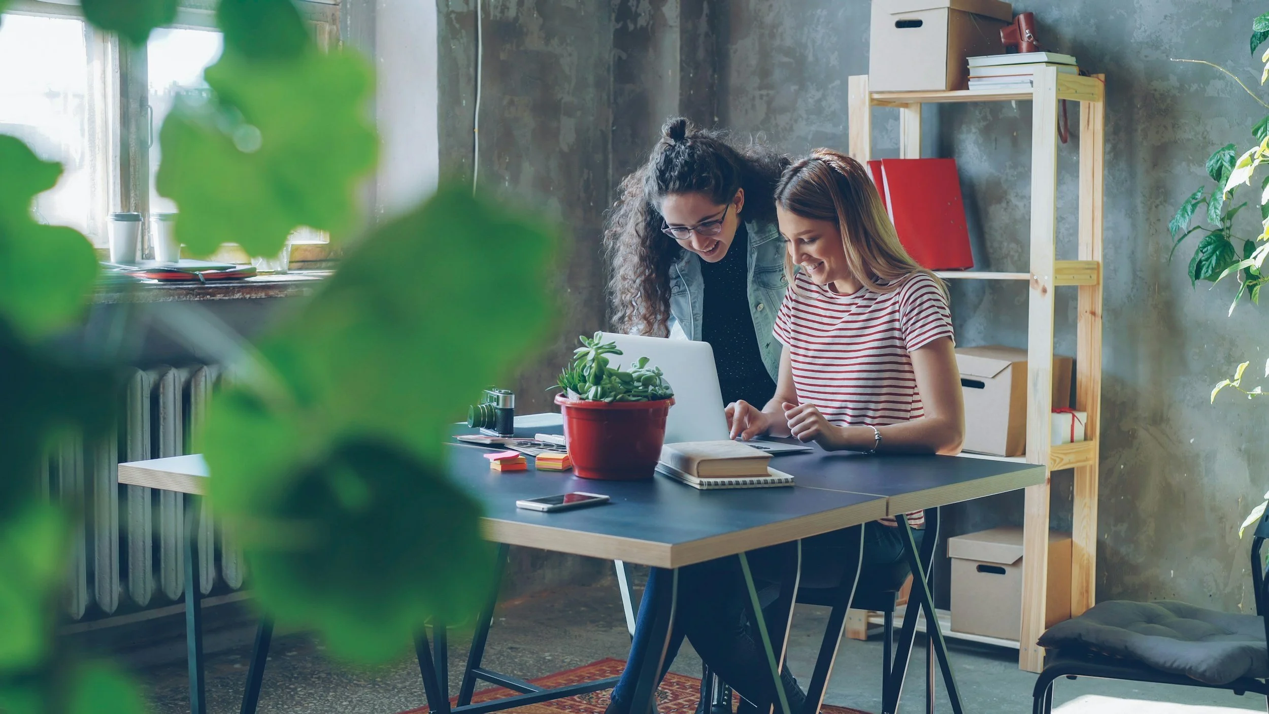 Two young women are working together at a table in an industrial-style office space with large windows and a concrete wall. One woman is pointing at a laptop screen while the other is looking on, smiling. The table has notebooks, a potted plant, and a smartphone. There are bookshelves in the background and green plants partly frames the foreground.