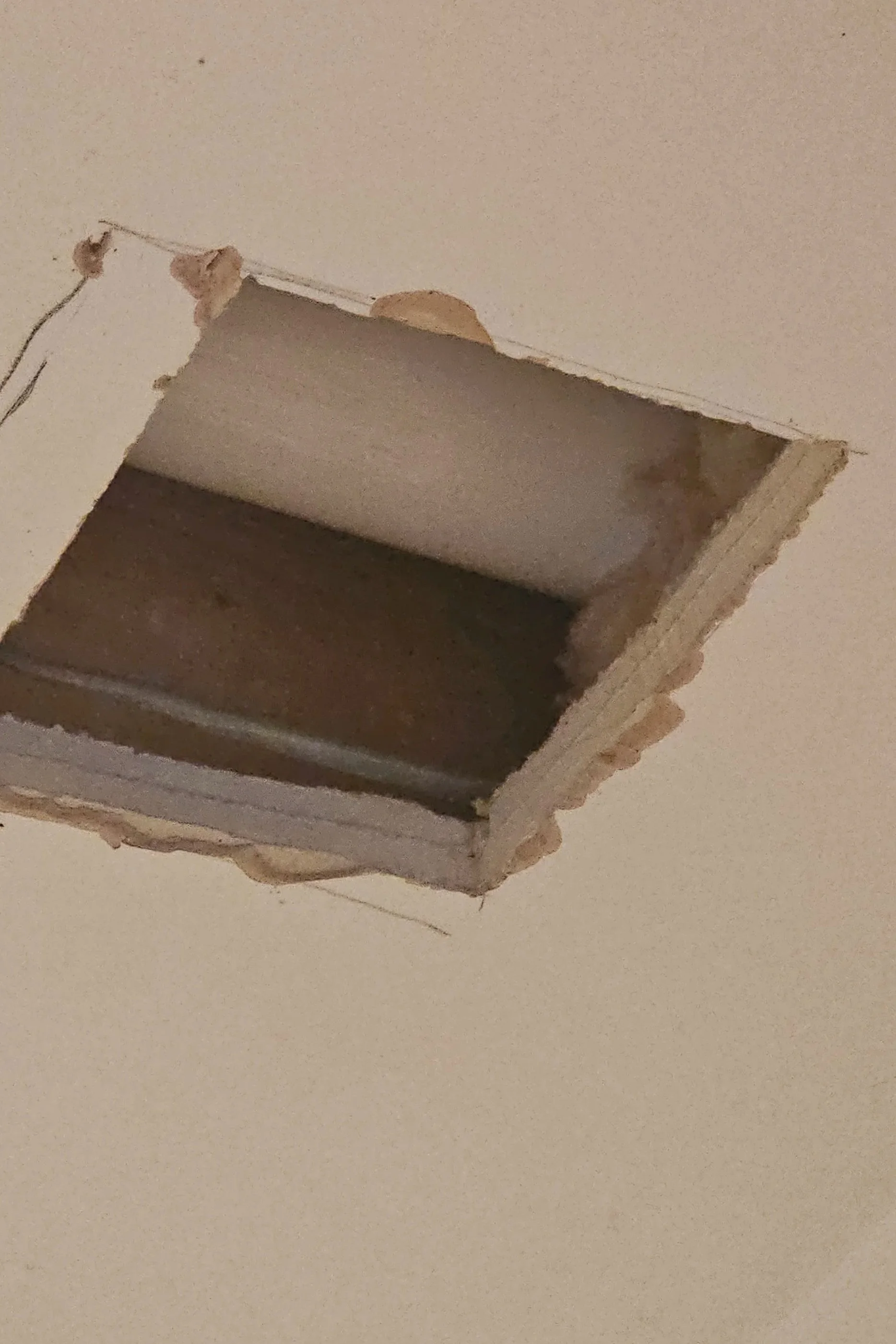 20260313_180819.jpg
