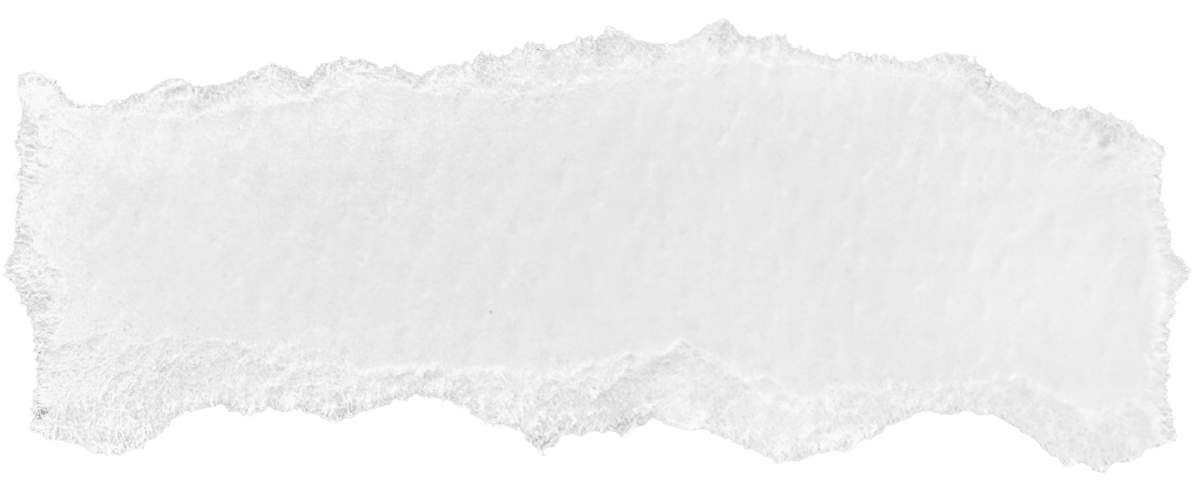 Tear-off piece of white paper with torn edges against a plain background.