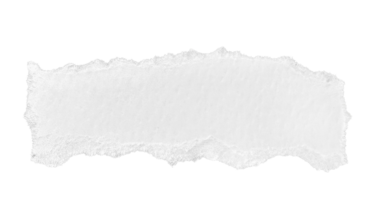 A torn piece of white paper with jagged edges.