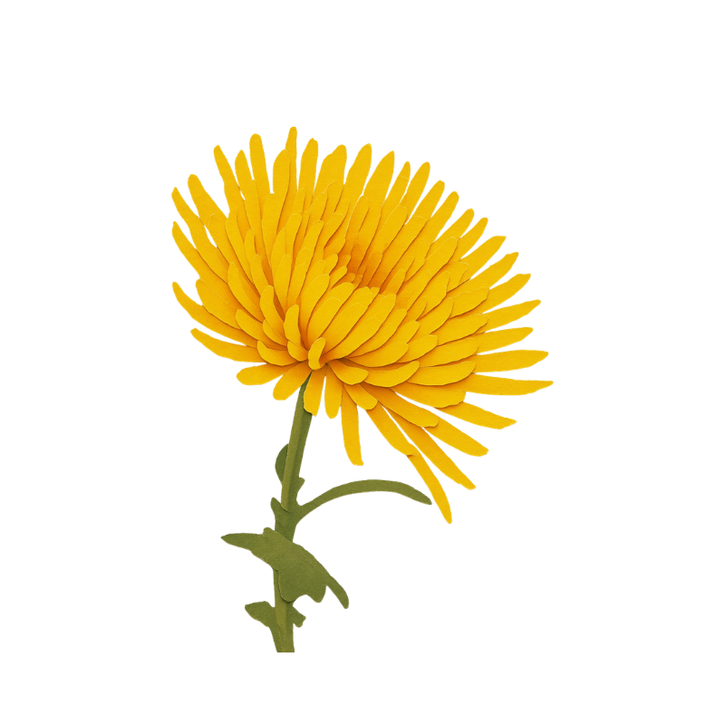 A yellow chrysanthemum flower with a green stem and leaves.