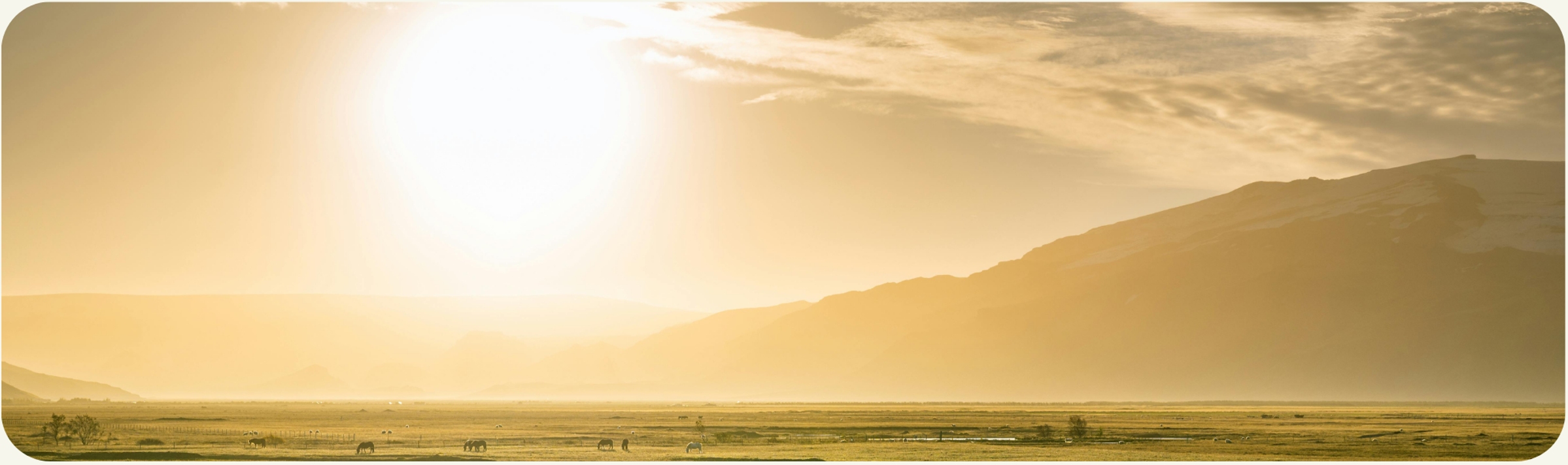 A vast landscape with a flat grassy plain and mountains in the background under a bright, setting sun with yellow and orange hues.