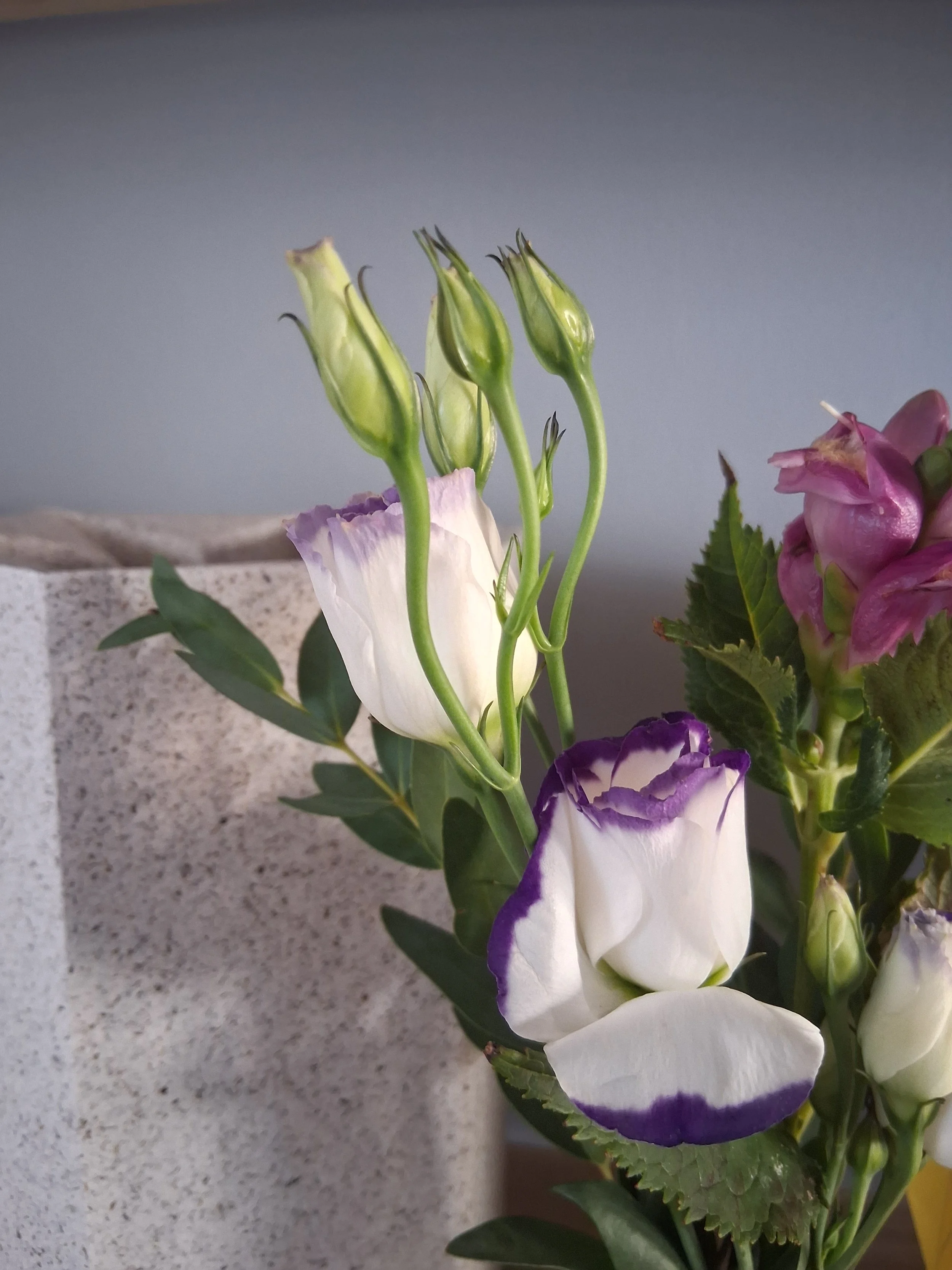 Bunte Blumen mit weißen, violetten und pinken Blüten in einer Vase auf einer grauen Arbeitsplatte.