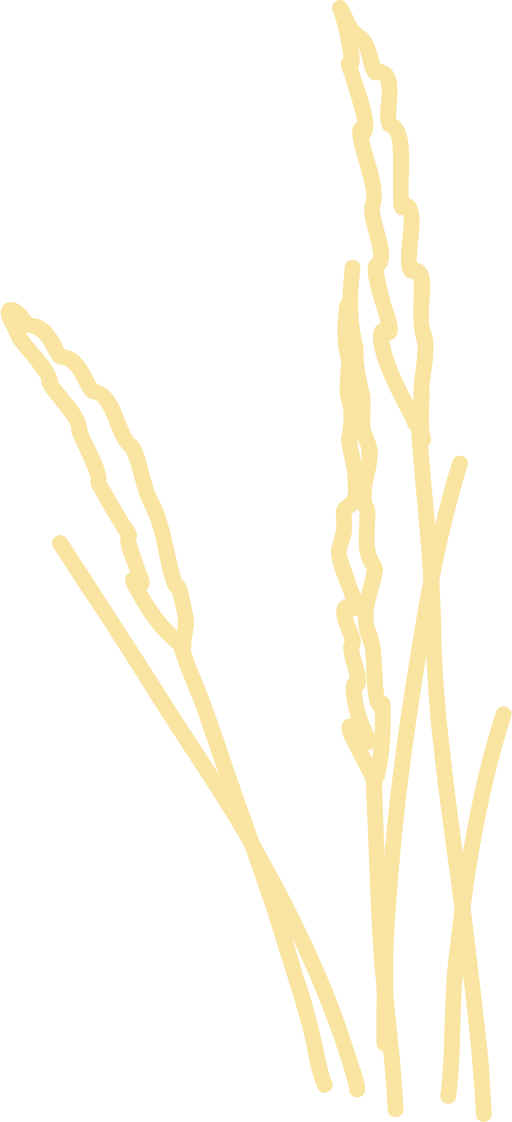 Zeichnung von getrocknetem Gras auf schwarzem Hintergrund.