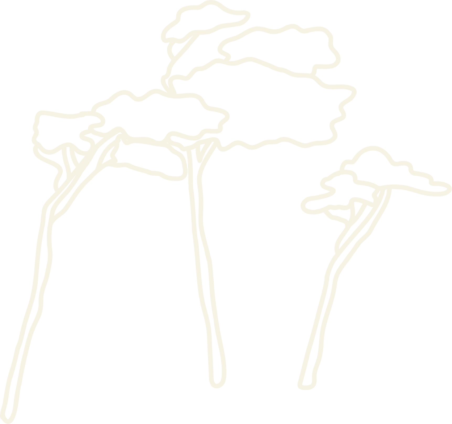 Linienzeichnung von mehreren Baumkronen auf schwarzen Hintergrund.