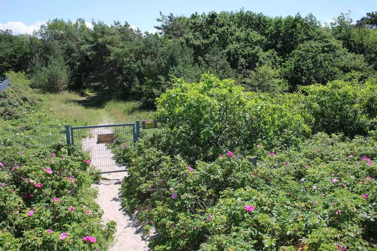 Tor zum Strand - geschlossen halten