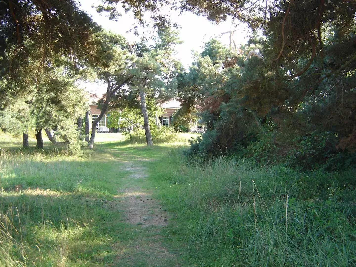 Ein schmaler Wanderweg führt durch einen bewaldeten Bereich mit hohen Gräsern und Bäumen. Im Hintergrund ist ein Haus mit großen Fenstern sichtbar.
