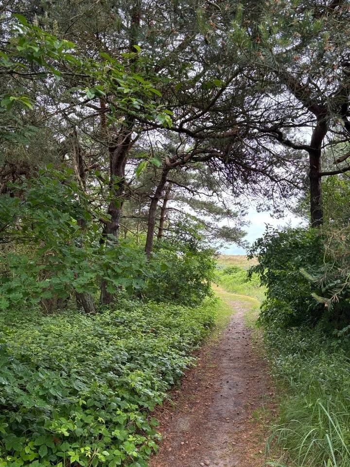 Weg zum Strand
