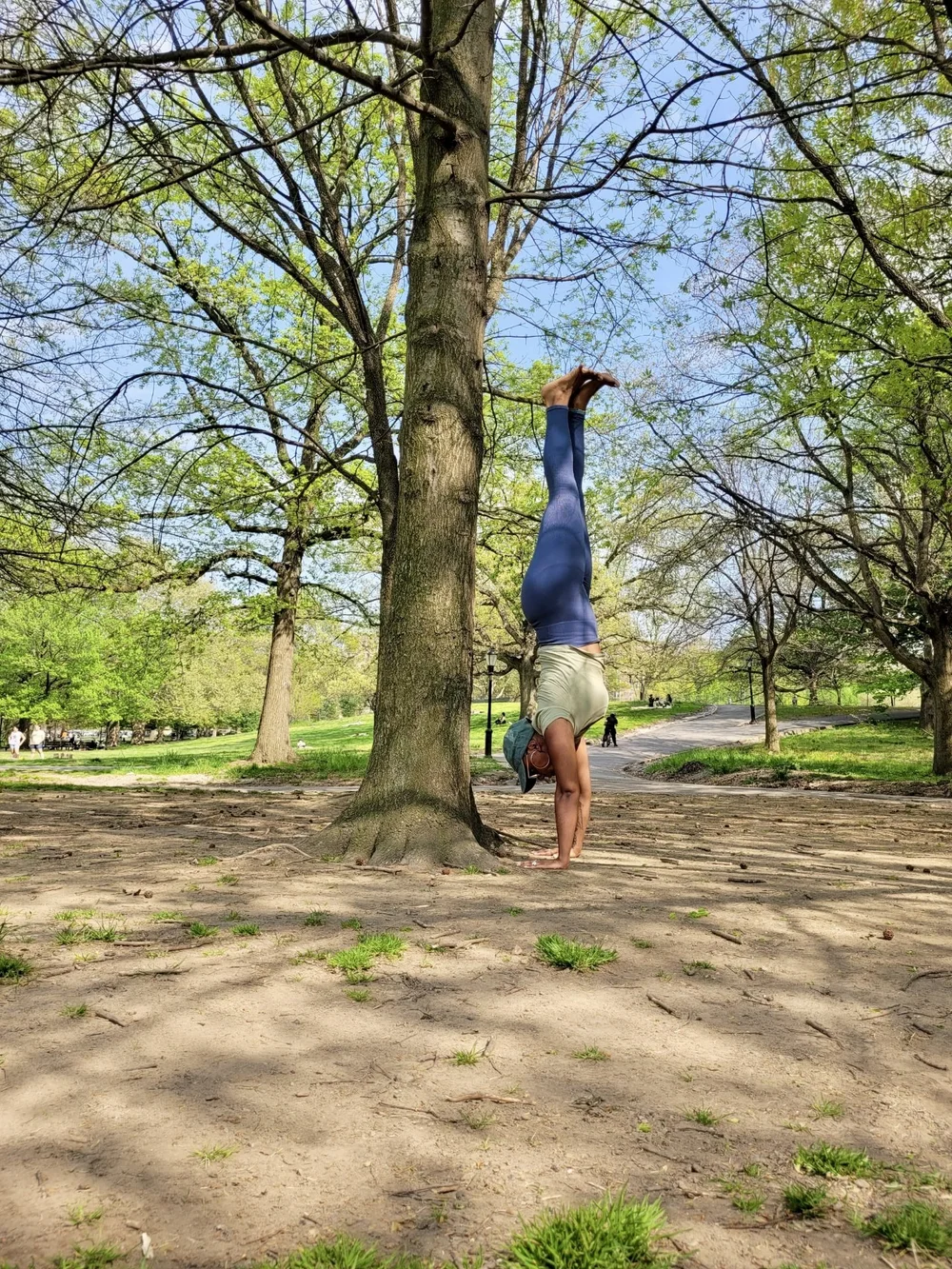 Victoria Vega Yoga Teacher Training