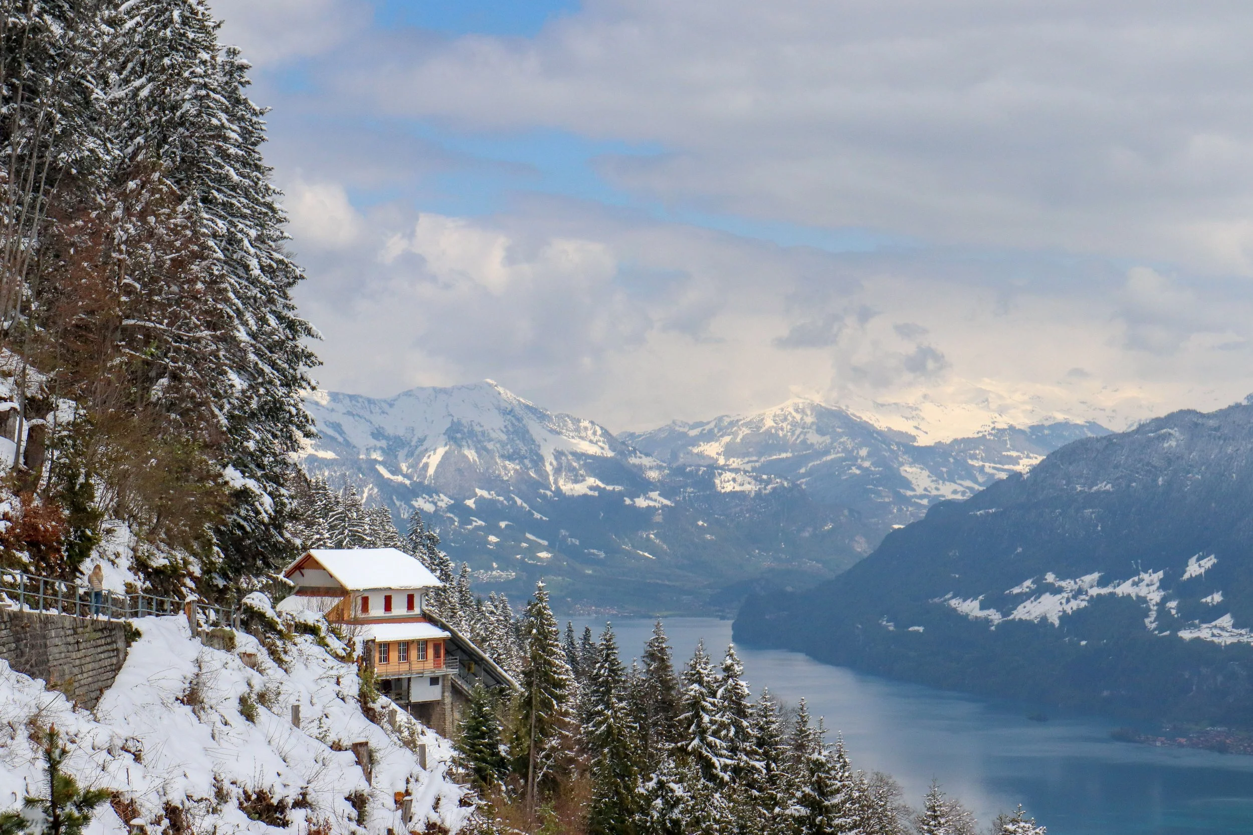 Snow-covered slope with houses and tall trees along the edge, overlooking a lake and distant snow-capped mountains under a partly cloudy sky.