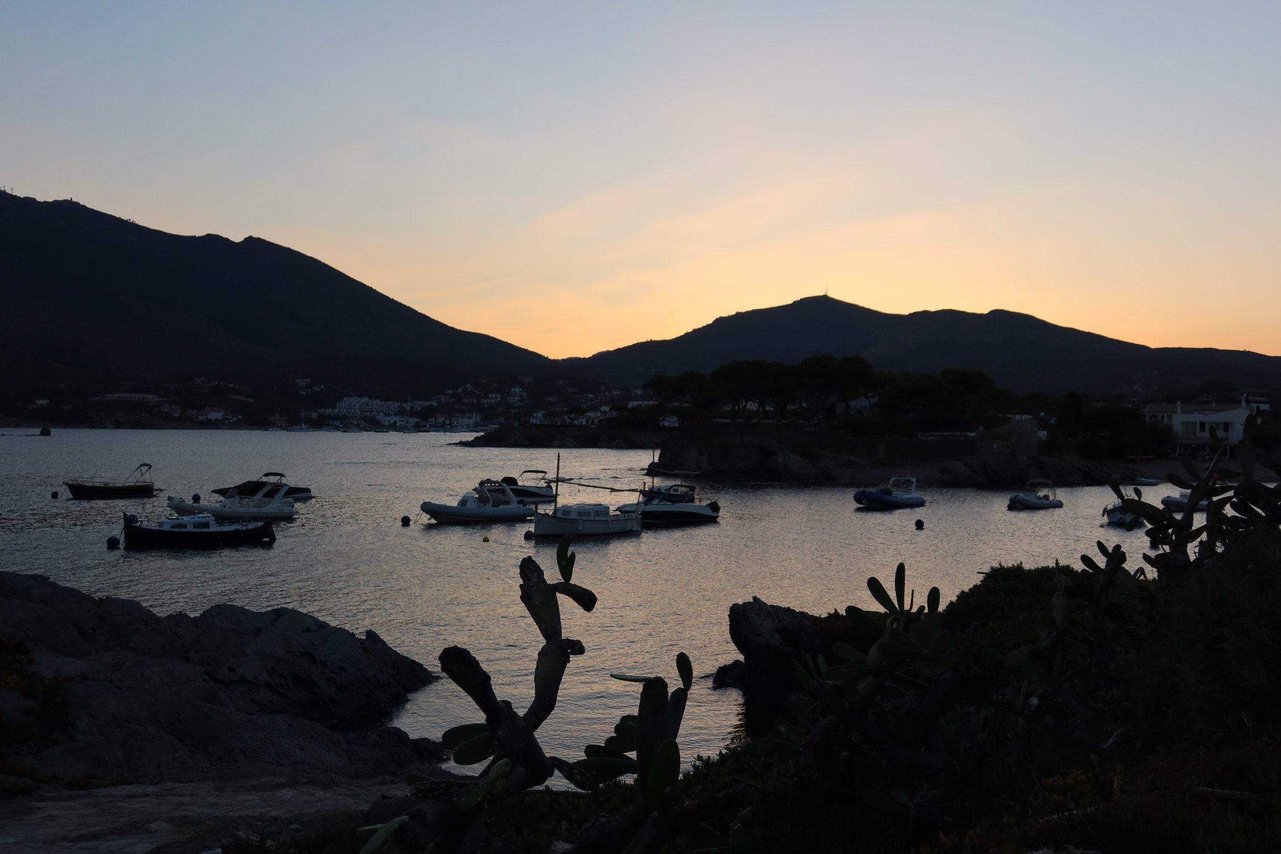 IMG_6585.JPG