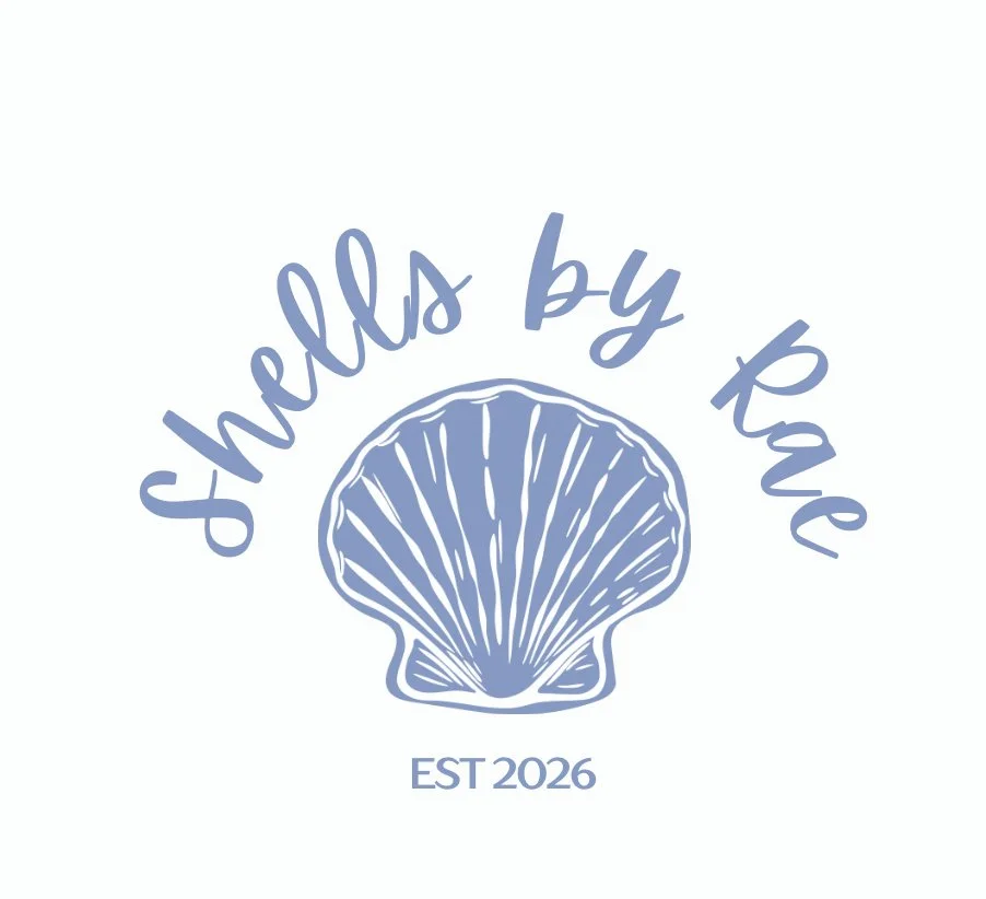 Shells by Rae