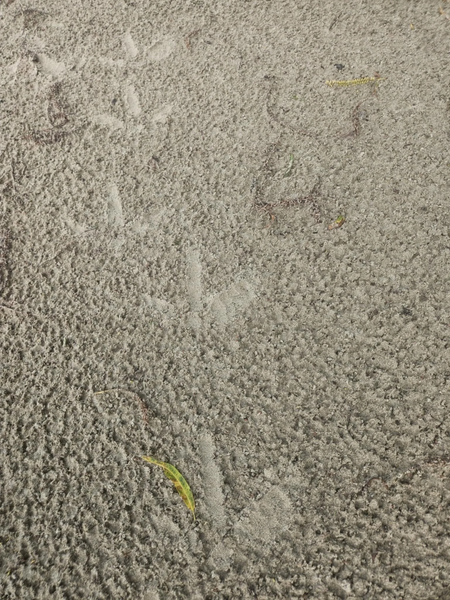 518270244_761861189896953_1325930782469440754_n.jpg