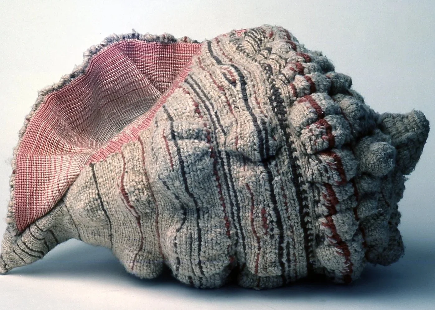 Seashell