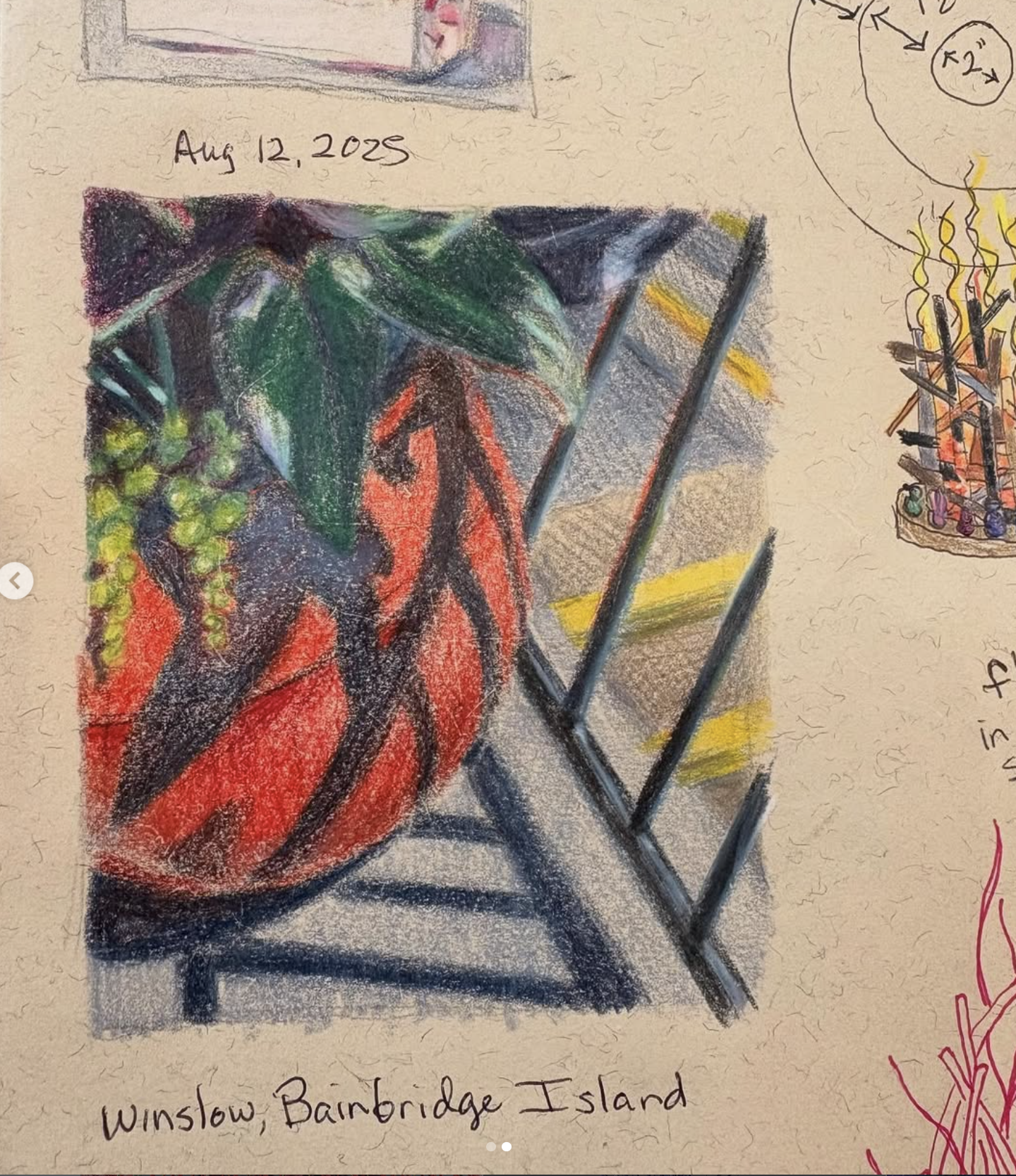 A colorful drawing featuring a bunch of grapes, green leaves, and a red background, with the date 'Aug 12, 2025' above and the text 'Winston, Bainbridge Island' below.