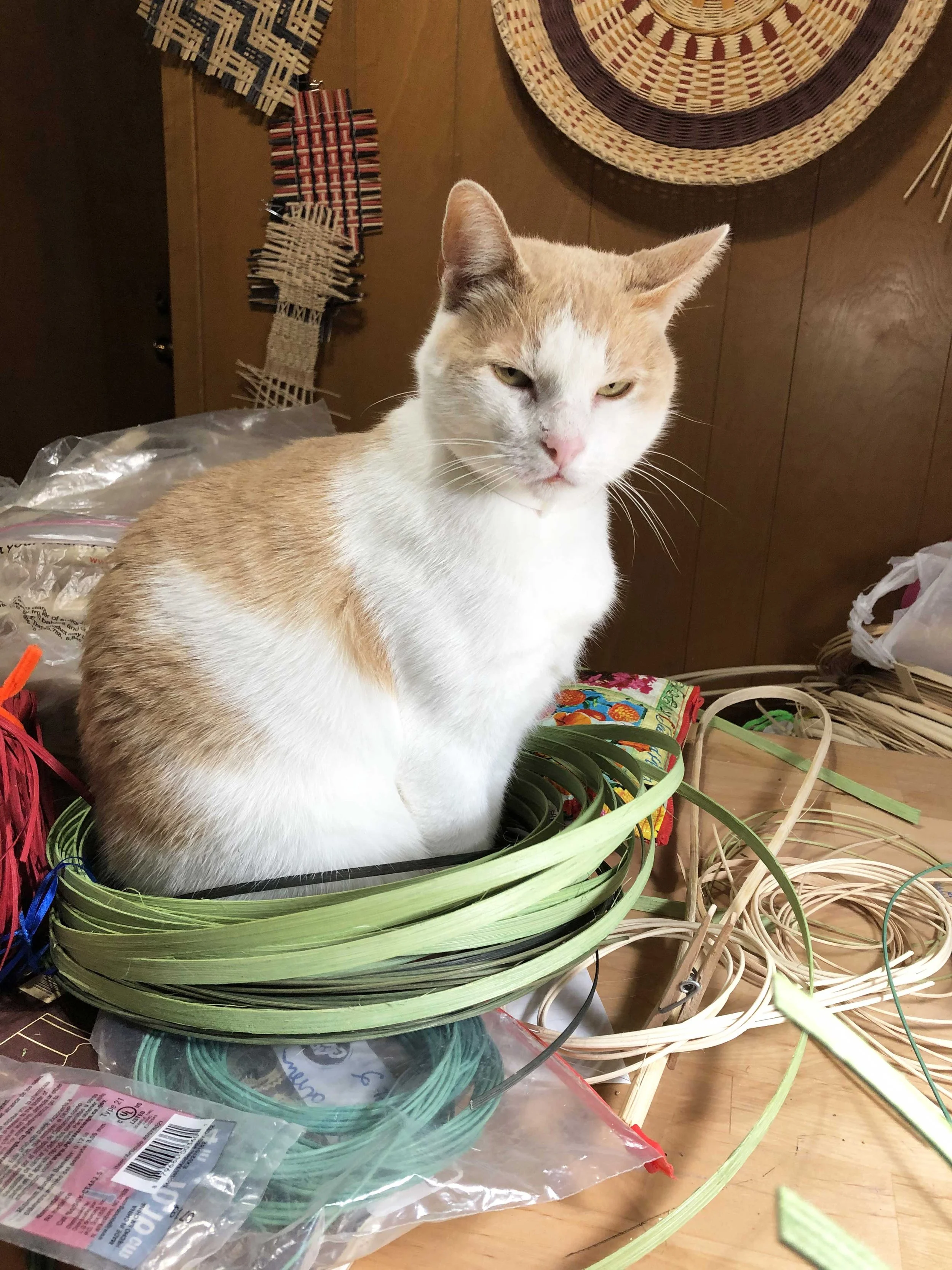 A light-colored cat with white and orange fur sitting inside an empty woven basket, surrounded by craft supplies such as colorful strips of paper, elastic bands, and plastic packaging, on a wooden surface with a dark wooden wall in the background.