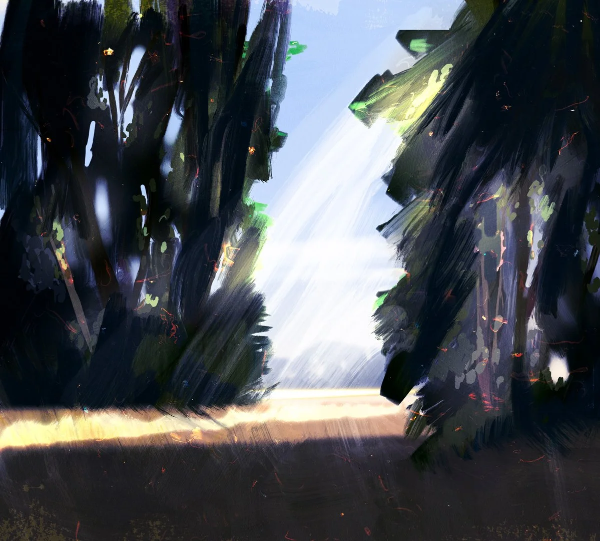 field.jpg