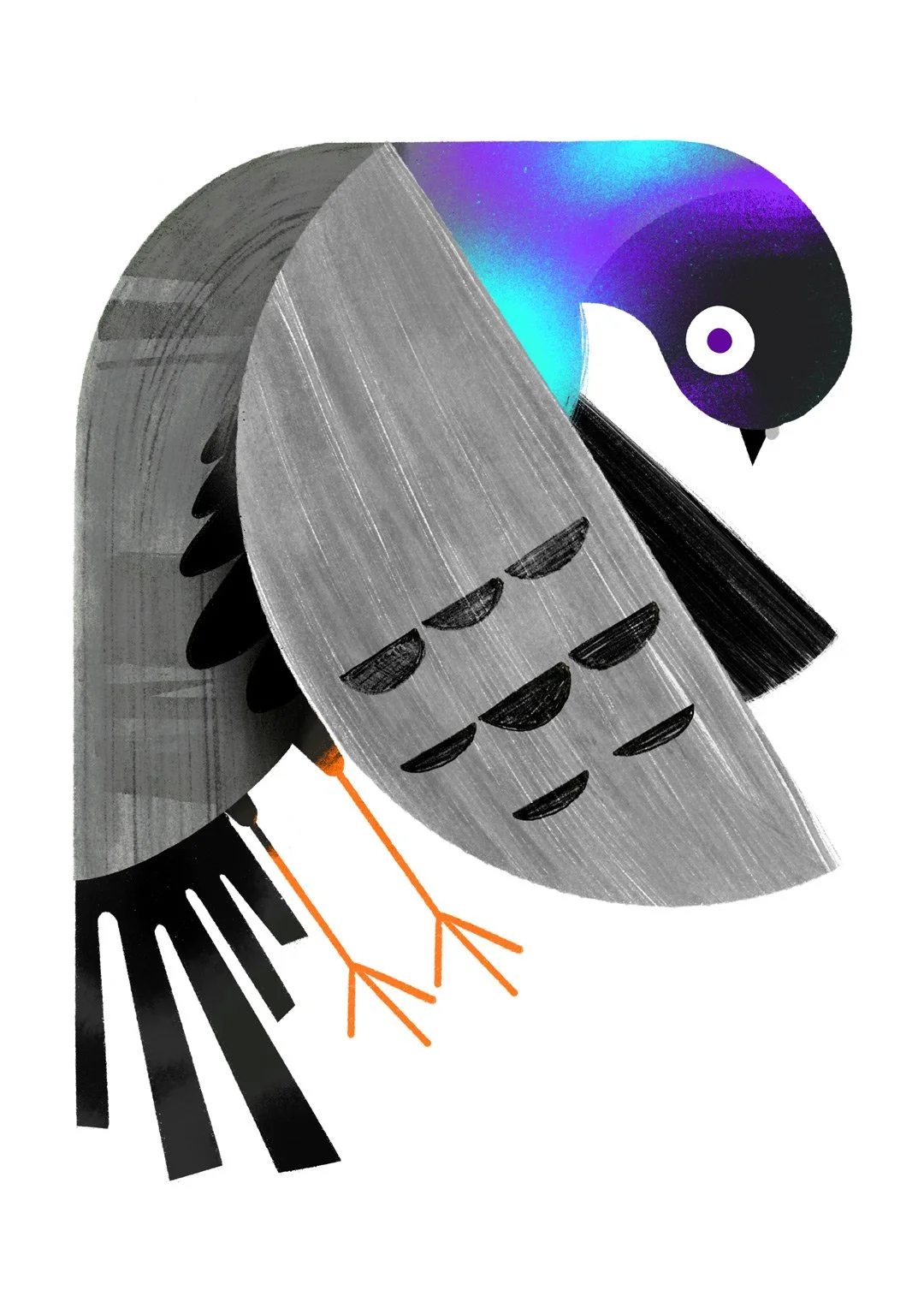 pigeon.jpg