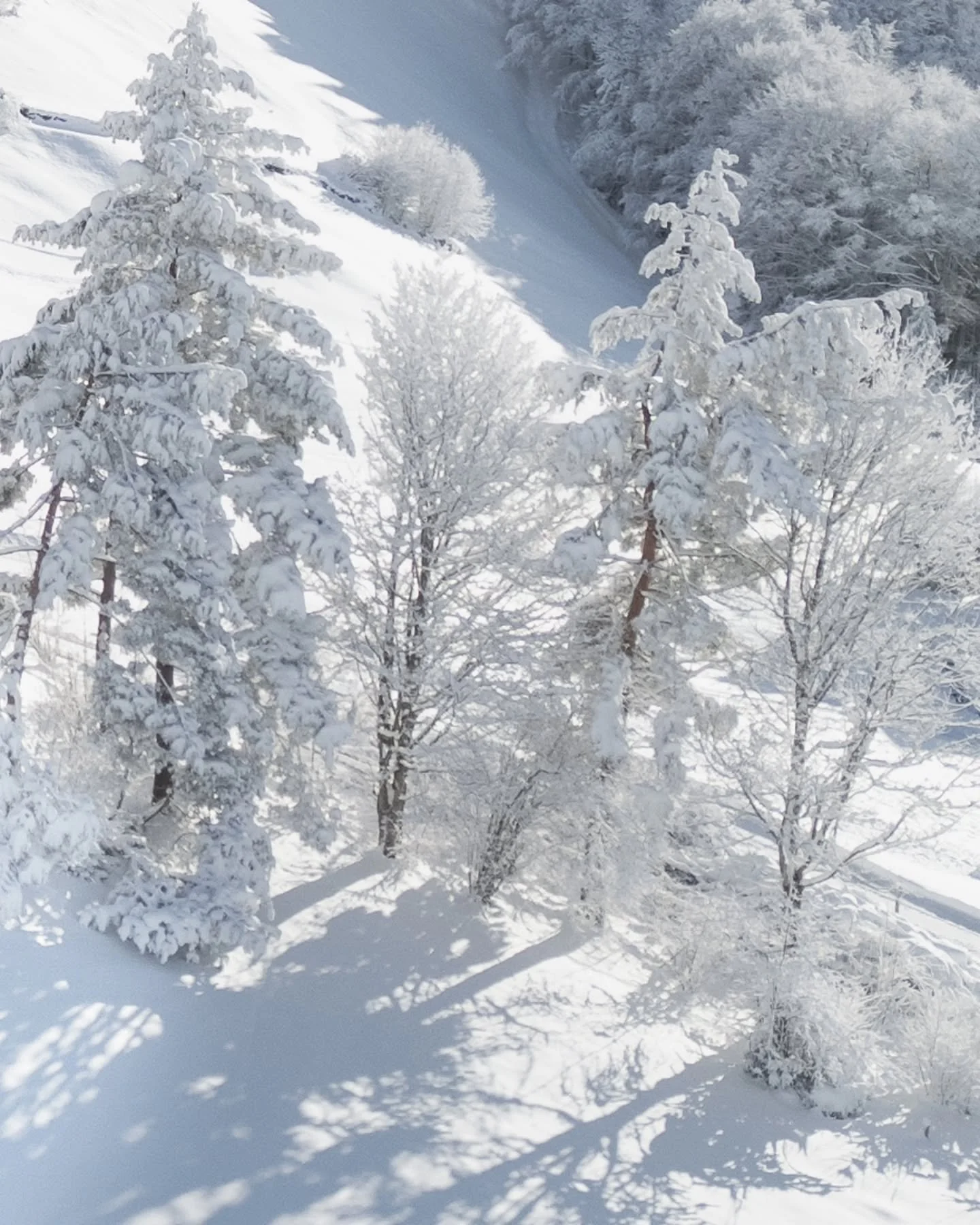 &mdash; THE MOUNTAINS ARE CALLING. WINTER IS LIVE. &mdash;

The peaks are snow-kissed, the skies are wide open, and our calendars for the 2026/27 winter season are now open for booking.

Villa Hundert is your basecamp for the perfect alpine rhythm.
C
