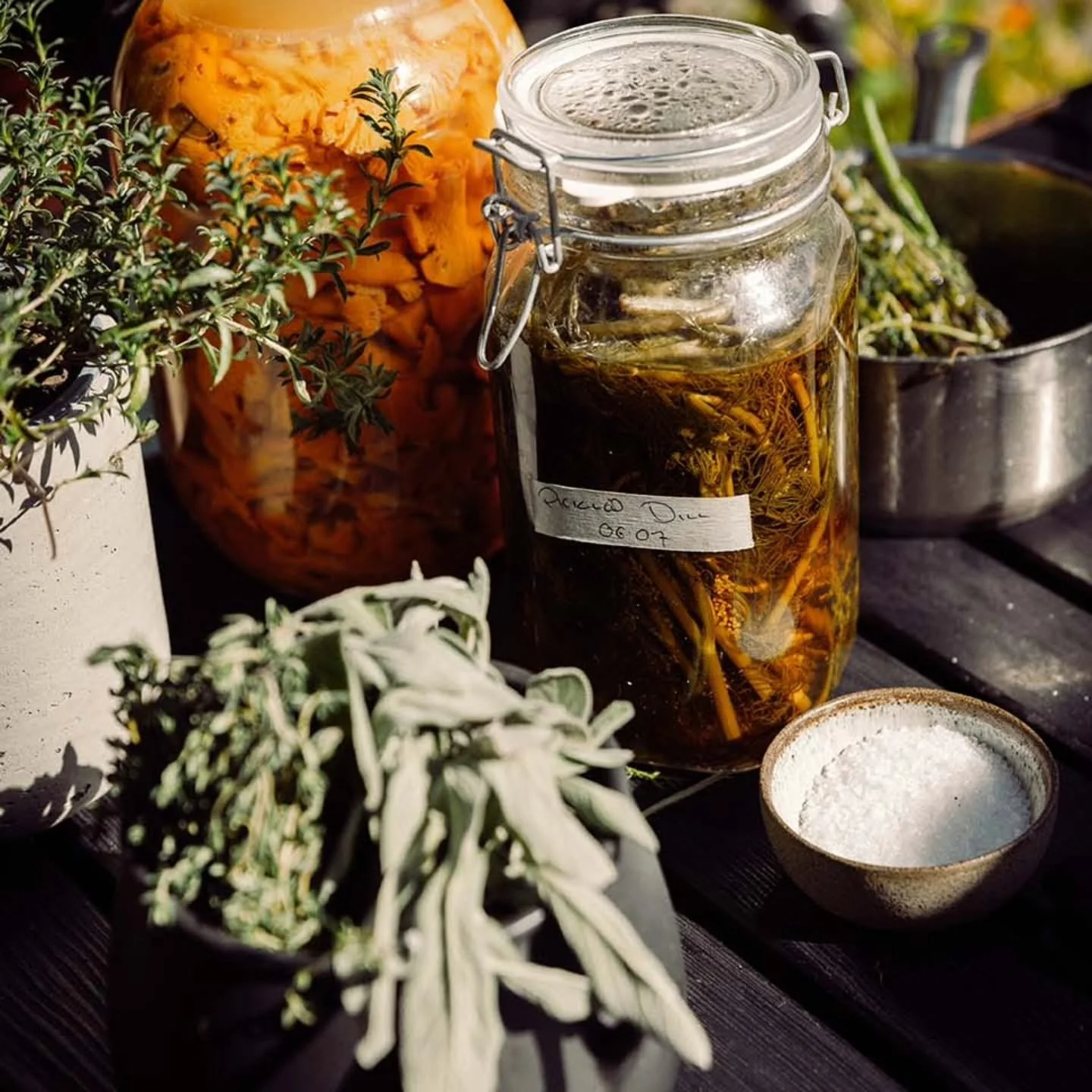 &mdash; GOLDEN GLOW &mdash;

Embraced in our valley, the crisp autumn surroundings are putting on a breathtaking show.

The warm fall sun kisses the giants around us, the mountains basking in the golden light and vibrant colours.

It is the perfect t