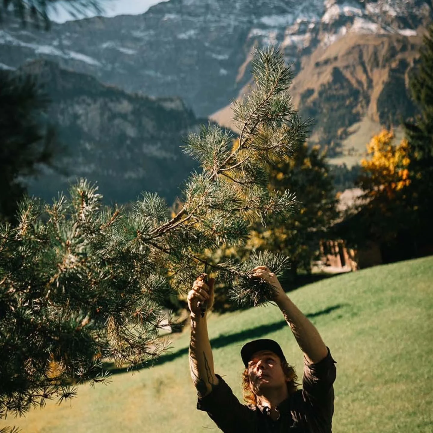&mdash; GOLDEN GLOW &mdash;

Embraced in our valley, the crisp autumn surroundings are putting on a breathtaking show.

The warm fall sun kisses the giants around us, the mountains basking in the golden light and vibrant colours.

It is the perfect t