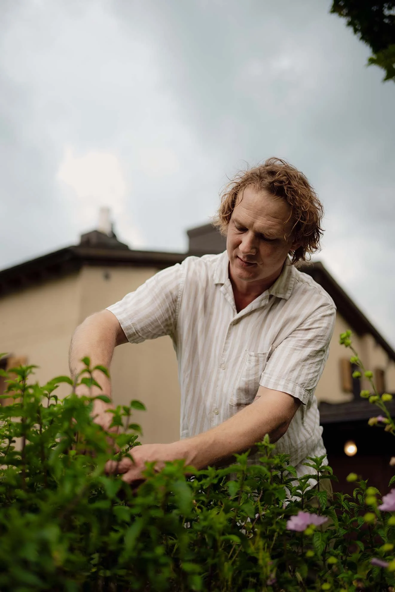 locally-sourced-ingredients-swiss-alps.jpg