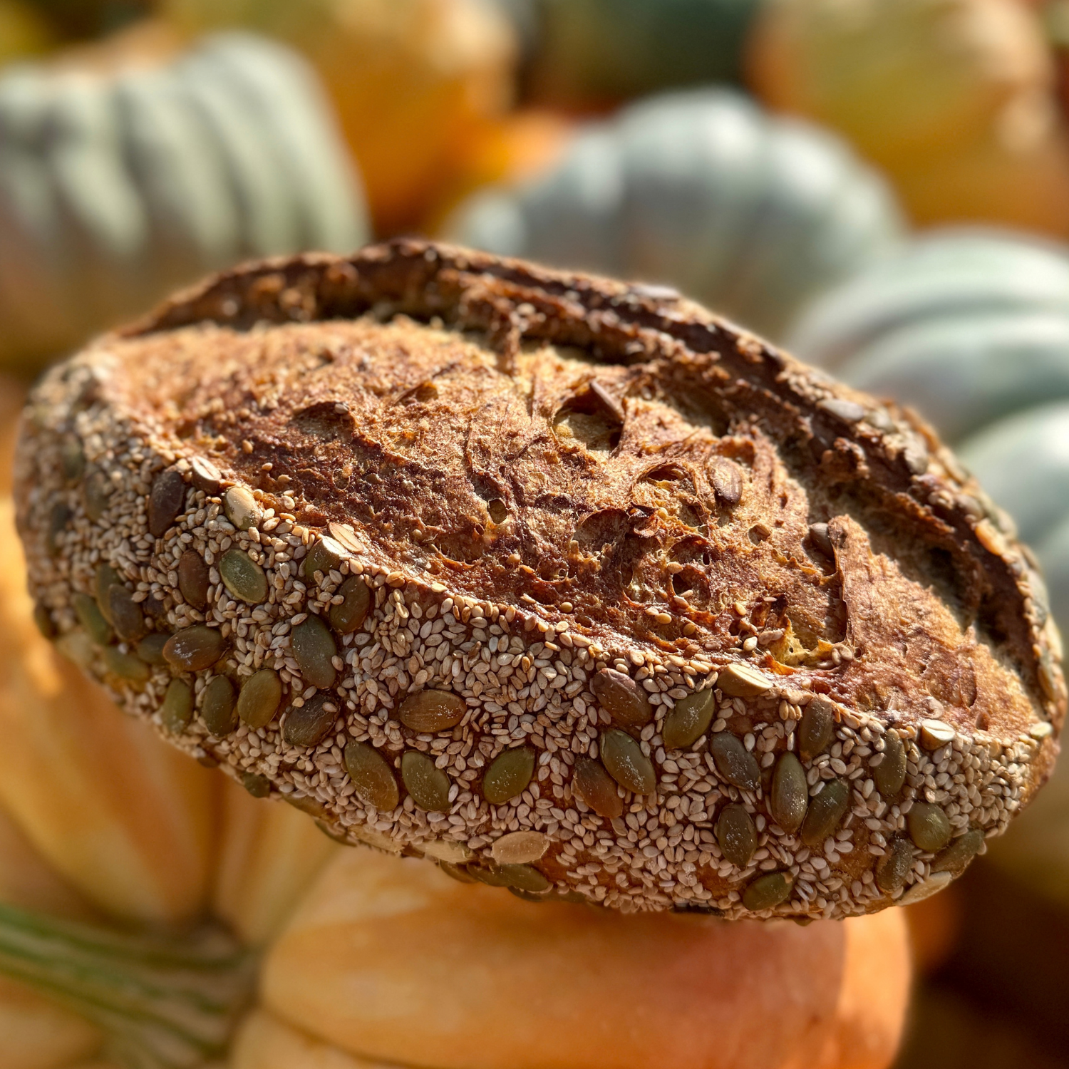 Close-up of an assorted autumn harvest display featuring a sliced loaf of bread topped with seeds and nuts, pumpkin, squash, and gourds in warm fall colors.