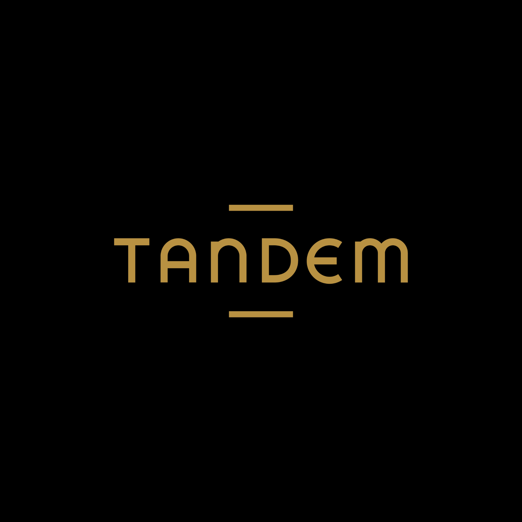 Tandem Logo Square.png