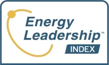 Energy Leadership™ Index Assessment