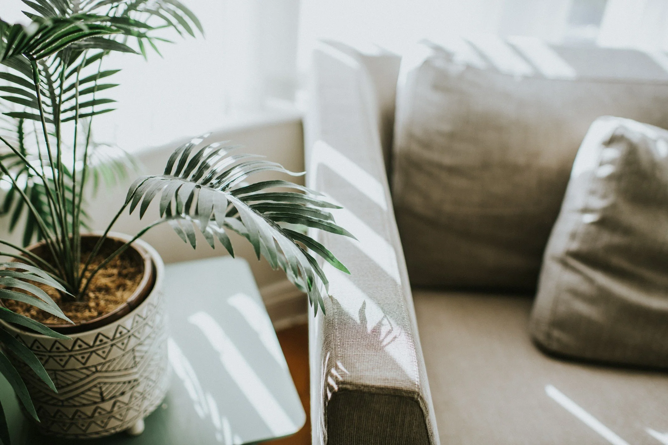 A potted green plant with elongated leaves on a white surface, sunlight casting shadows beside a beige chair with textured fabric and a beige cushion in a bright room.