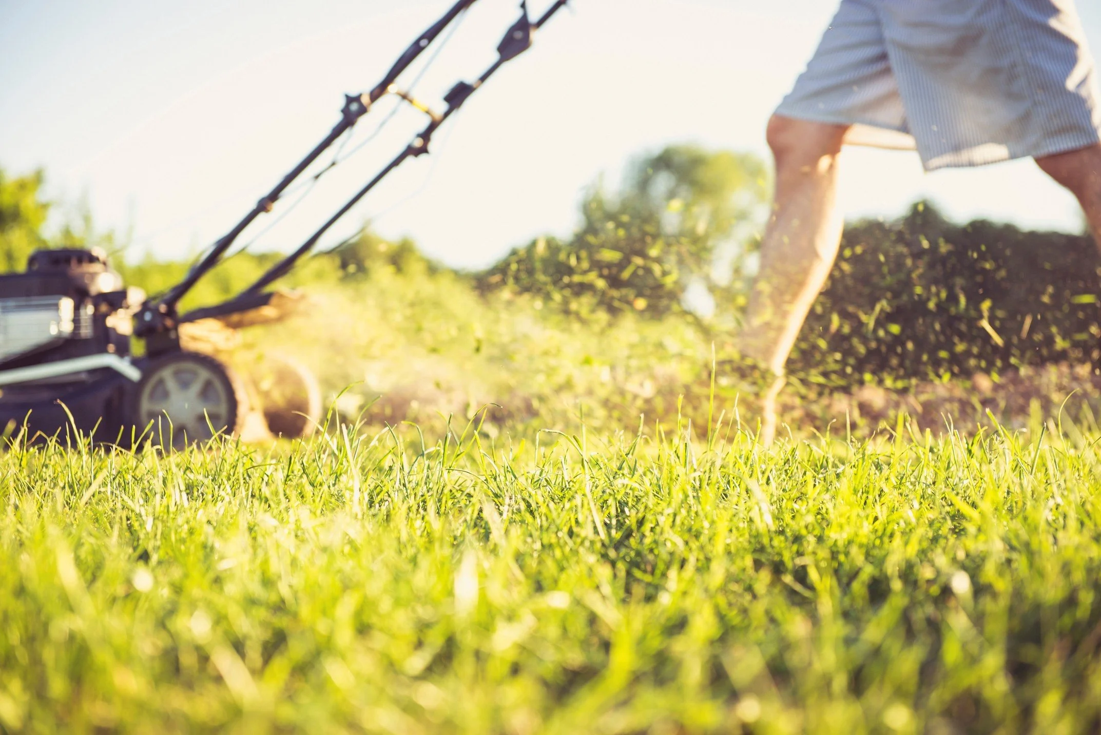 Person using a rotary lawn mower to cut grass outdoors on a sunny day.