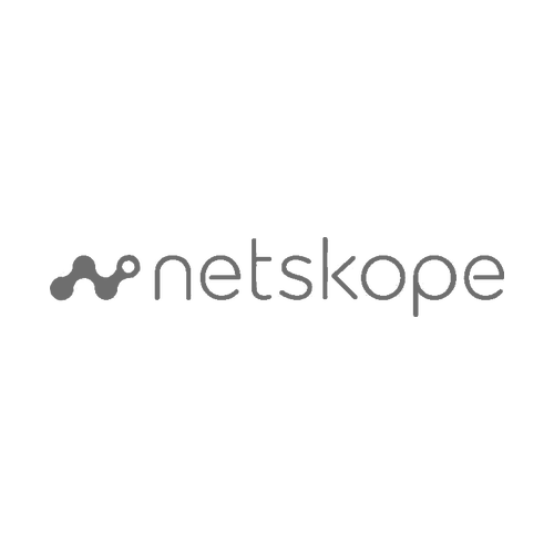 Netskope-flatgray-500x500.png