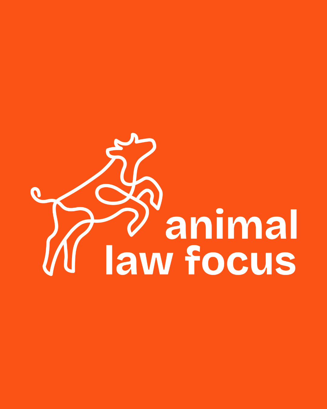 Orange book cover with a minimalist white line drawing of an animal, likely a dog or wolf, and the text 'animal law focus' in bold white letters.