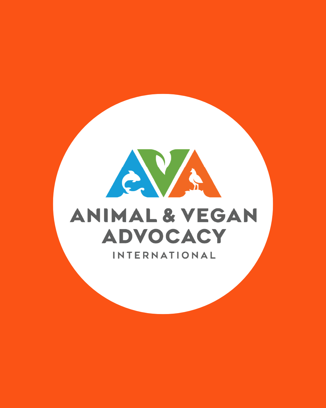Logo for Animal & Vegan Advocacy International with stylized animal and plant images in blue, green, and orange above the organization name.