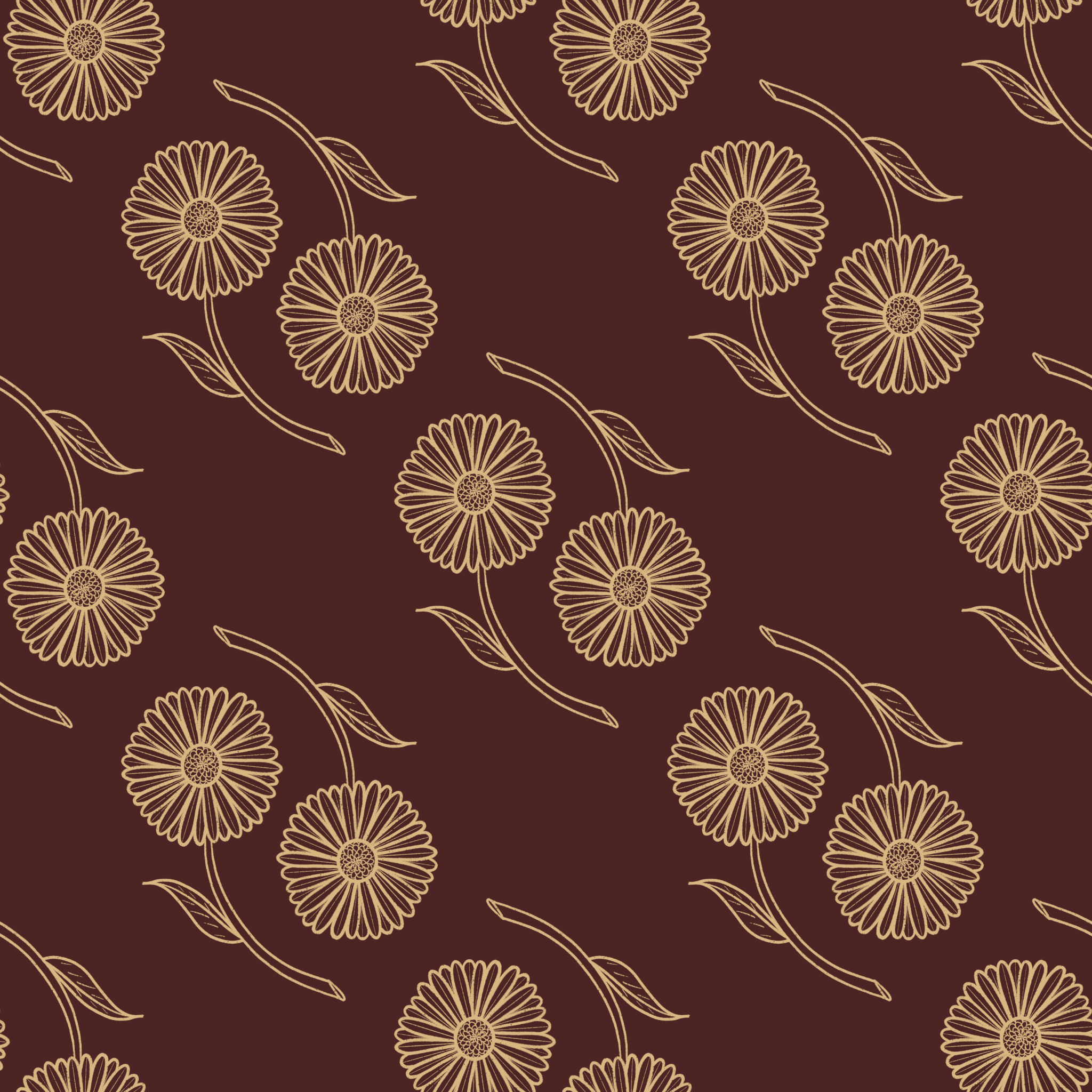 daisies.jpg