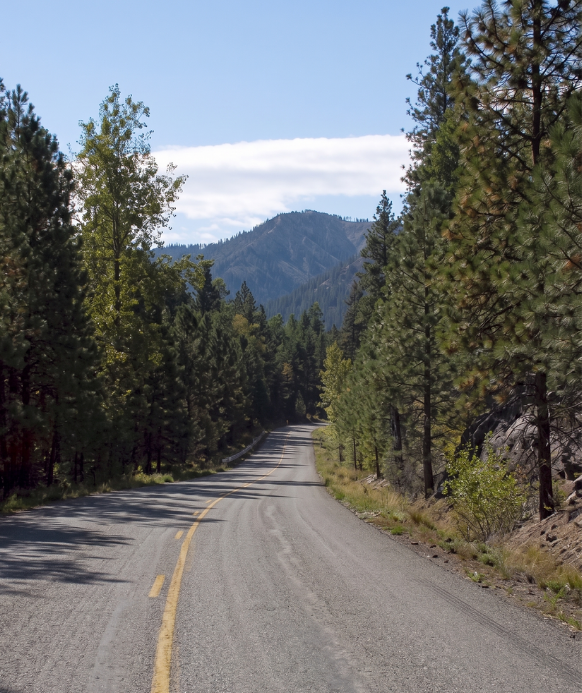 A winding mountain road through a dense pine forest with mountains in the background and partly cloudy sky